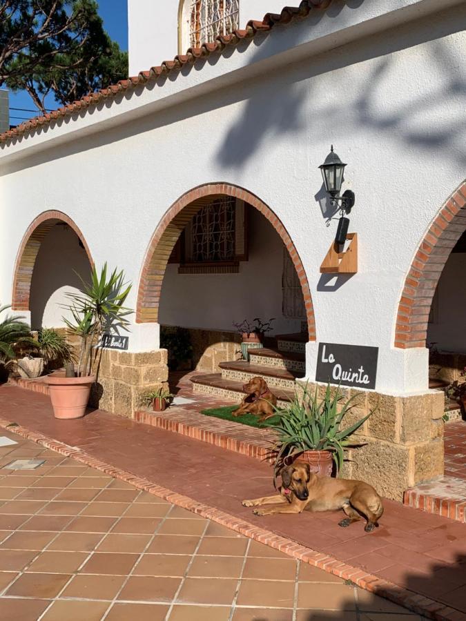 Villa La Quinta - La Barrosa Chiclana de la Frontera Esterno foto